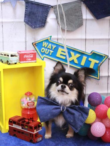 20230413ボスくん